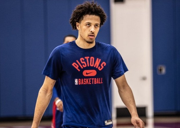 案例分析 案例分析